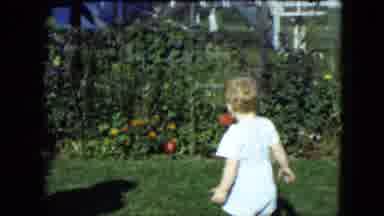 Cleveland Ohio (1951): A Little Boy Playing In The Garden With Butterflies