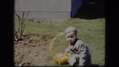 Cleveland Ohio (1951): Well Dressed Toddler Plays In A Bright Yellow Basket