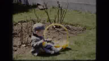 Cleveland Ohio (1951): Little Child Sitting In The Grass Enjoying The Contents In