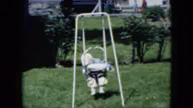 Cleveland Ohio (1951): The Baby Was Sleeping Peacefully On The Swing