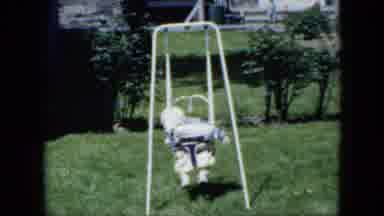 Cleveland Ohio (1951): Adorable Infant Fast Asleep In A Small Baby Swing In A