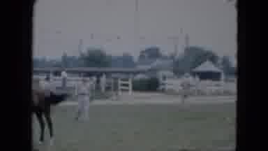 Cleveland Ohio (1951): A Man Is Attending A Horse In The Ground Where Some