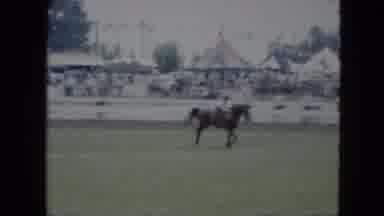 Cleveland Ohio (1951): Jockey Riding Horseback Around Ring With Spectators
