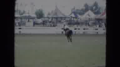 Cleveland Ohio (1951): The Man Sat On The Horse