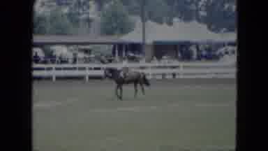 Cleveland Ohio-1951: Man Rides Horse In Ring As Crowd Watches