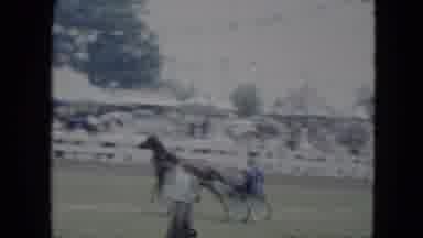 Cleveland Ohio (1951): The Horse Riding Is Going There It Is In The Ground