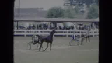 Cleveland Ohio (1951): Horse Warming Up For A Race At The Track