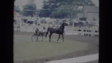 Cleveland Ohio (1951): A Man And A Horse Going For A Walk Around The Ring