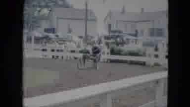 Cleveland Ohio (1951): Horse Drawn Chaise Carriage Man Riding Controlling Animal