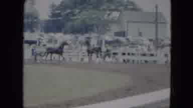 Cleveland Ohio (1951): Getty Up Cowboy