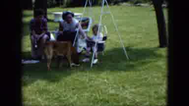 Cleveland Ohio (1951): Baby Parked In A Swingset In The Park