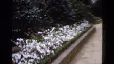 Florida USA (1952): It Was Lovely To See The Men Walking By Socute