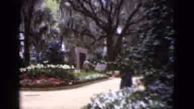 Florida USA (1952): Woman Walks Through A Pleasant Outdoor Area This Being A