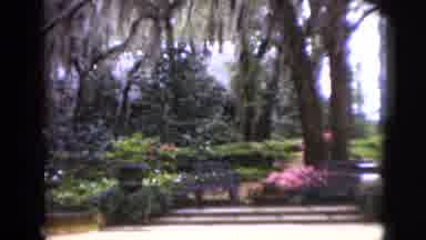 Florida USA (1952): The Garden Is Beautiful And Everyone Is Looking For That