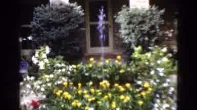 Florida USA (1952): A Garden In Front Of The House With Many Flowers And Water