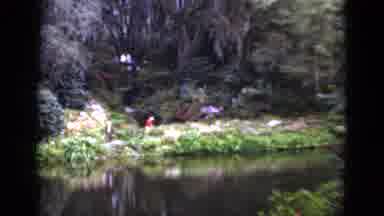 Florida USA (1952): Person Wearing Red Shirt Stands On Lagoon Bank On A Clear Day