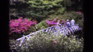 Florida USA (1952): White Bridge With Many People Standing On It During The