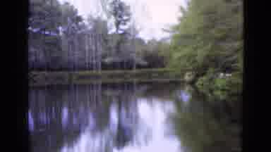 Florida USA (1952): This Place Makee Very Romantic Feel Because It Has Lake And