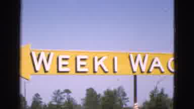 FLORIDA USA-1952: Yellow Arrow Sign Pointing To Weeki Wachee