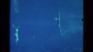 Florida USA (1952): Tourism Video Shows People Swimming In A Popular Spring