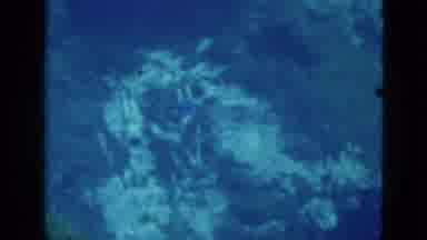 Florida USA (1952): Two Women Swimming With Flippers On Deep In The Water As Seen