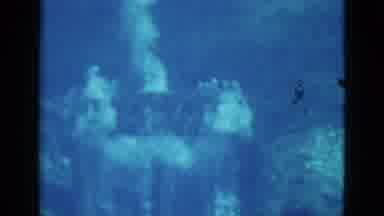 Florida USA (1952): Lots Of Bubbles Rise Slow Upwards In Deep Water With A Lone