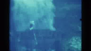 Florida USA (1952): A Woman Swims Under The Sea As Sea Life Happens Around Her