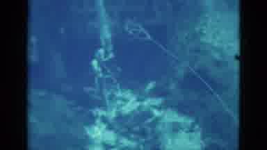 Florida USA (1952): People On The Video Are Scuba Diving And Exploring Around