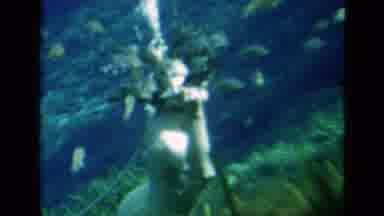 Florida USA-1952: Underwater Swimming With Fish In Vintage 8mm Home Movie
