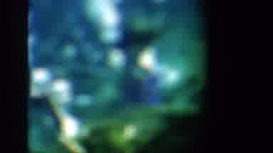 Florida USA (1952): Two Girls Are Swimming In The Bottom Side To Collect The