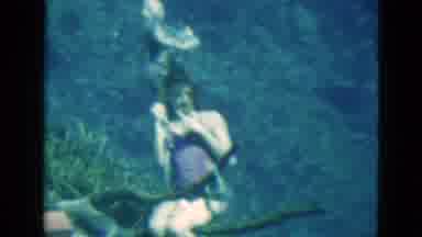 Florida USA (1952): Diving Girl Swimming