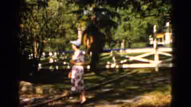 Quebec Canada (1952): Woman Wearing Pink Dress Walks To Large Tree On A Bright
