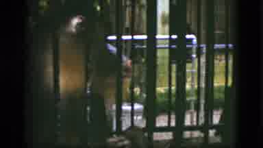 Quebec Canada (1952): Baboon In Cage Looking Around