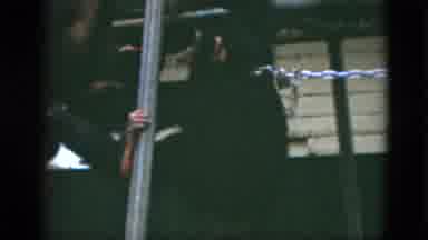 Quebec Canada (1952): A Small Monkey Getting Into A Fight With Another Monkey