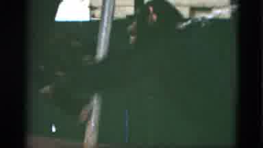 Quebec Canada (1952): Monkeys Playing Around With Each Other While Being Chained