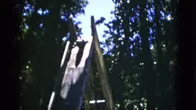 Quebec Canada (1952): Alligator Goes Down Slide Into Water Pool Creates Splash