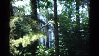 Washington DC USA (1952): Big White 1950'S Construction House Nestle In A Garden