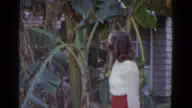New Orleans USA (1952): Stylish Woman Standing In Front Of A Banana Tree Loaded