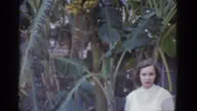 New Orleans USA (1952): Woman Observes Banana Trees In A Very Well-Kept Tropical