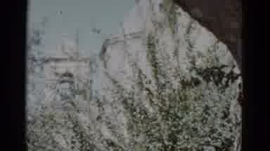 New Orleans USA (1952): Camera Pans Across The Tree Line And Captures A View Of