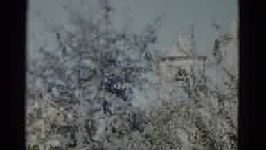 New Orleans USA (1952): Towers Hidden Behind Treeline