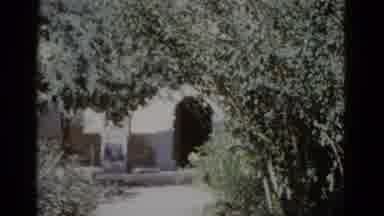 New Orleans USA (1952): Video Pans Above Trees And Then At Some Kind Of Structure