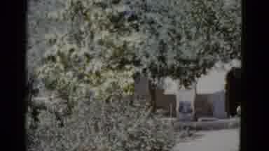 New Orleans USA (1952): Lovely Garden Situated Inside Of A Park Then A Shot Of A