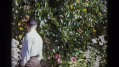 New Orleans USA (1952): There Is A Man Standing Beside The Beautiful View To See