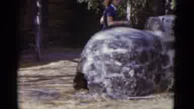 New Orleans USA (1952): Woman Wearing Blue Dress Walks Behind Grey Stone Done