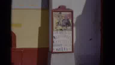 BAJA CALIFORNIA MEXICO-1952: Man Wearing A Hat And A Long Sleeve Shirt Harvesting Cotton