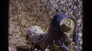Baja California Mexico (1952): Picking Plants And Taking Photos In Front Of A Sign
