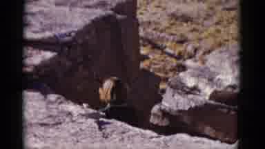 Arizona USA (1952): Women Stepping Into The Rock