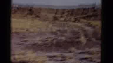 Arizona USA (1952): A Lady Walking In A Desert Scene Among Some Red Rocks