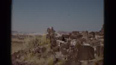 Arizona USA (1952): Panning Over Rainbow Forest